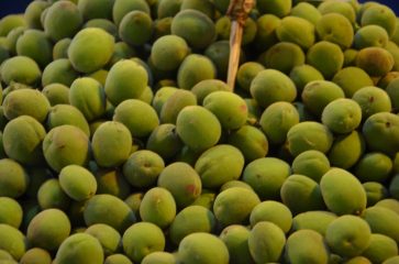 Yerli kayısı ’çağla’ olarak tezgaha indi