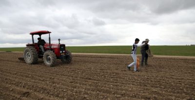 Genç Çiftçi Desteği İçin Son Gün 30 Nisan