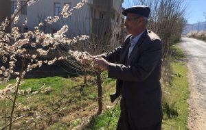 TARSİM:ÇİFTCİMİZ BAŞIMIZIN TACI