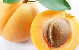 SAĞLIKLI SİNDİRİM İÇİN KAYISI SUYU