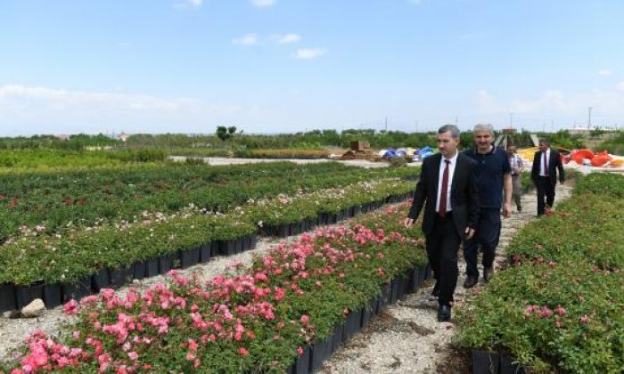 BAŞKAN ÇINAR, TEPEKÖY FIDANLIK ALANINDA İNCELEMELERDE BULUNDU