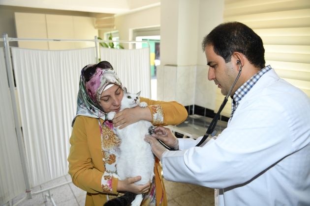 Doğadaki Canlılara Şefkat Elini Uzatmak İnsani Bir Görevdir”