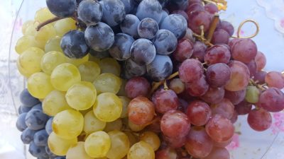 ÜZÜMÜN SULTANLARI