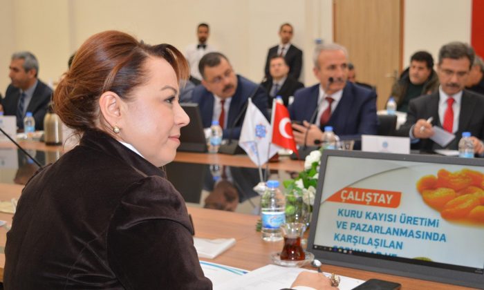 Kuru Kayısı Üretimi ve Pazarlanmasında Karşılaşılan Sorunlar ve Çözüm Önerileri” toplantısı yapıldı