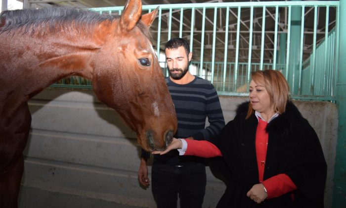 MTÜ Atçılık ve Atlı Sporları Uygulama ve Araştırma Merkezi kuruldu