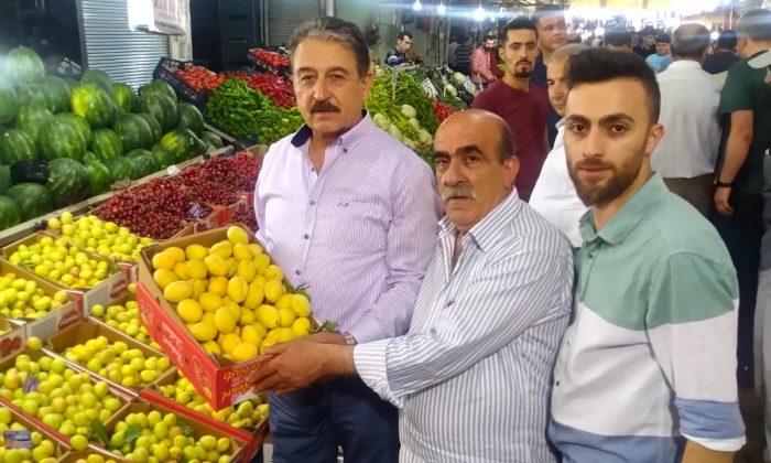 Keskin “Kayısıya büyük bir darbe olur”