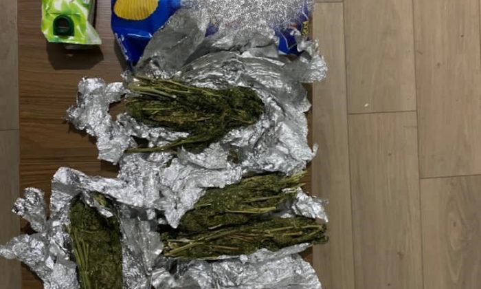 Coronavirüs ile Mücadele Kapsamında İl genelinde son 24 saatte toplam;