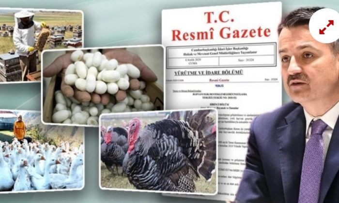 Arıcılık, İpekböcekçiliği, Kaz ve Hindi Yetiştiriciliği projelerine hibe desteği