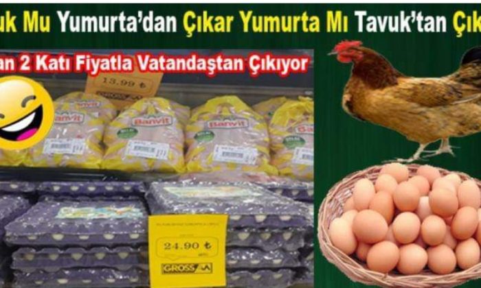 Yumurta Fiyatları Son Bir Kaç Ay İçinde 2 Katına Çıktı