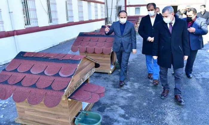 Yeşilyurt Belediyesi, Sokak Hayvanları İçin Örnek Bir Proje Geliştirdi