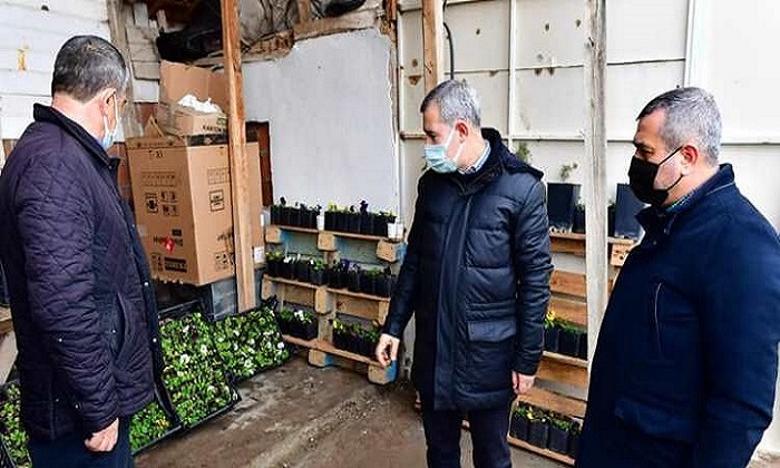 Çınar, 200 Bin Adet Fideyi Çiftçilerimize Ücretsiz Dağıtacağız