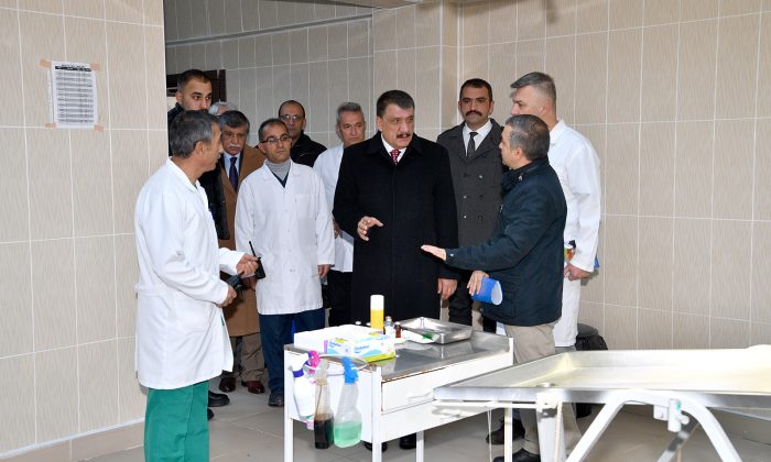 2020 YILI İÇERİSİNDE 1.125 SOKAK HAYVANININ BAKIMI YAPILDI