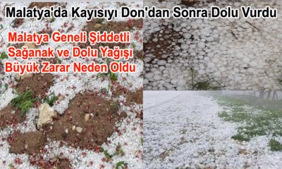 Malatya Geneli Şiddetli Yağan  Yağmur ve Dolu Hayatı Olumsuz Etkiliyor