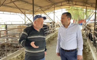 Besiciler Öfkeli “Hem Üretiyoruz, Hem Cezalandırılıyoruz.”