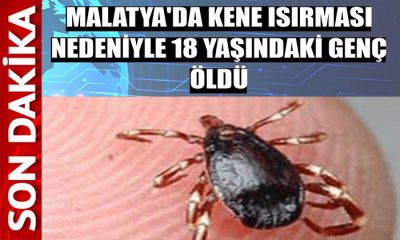 Doğanşehir Kurucaova’da  18 Yaşındaki Genç Kene Isırması Sonucu Öldü
