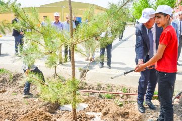 MASKİ, İleri Biyolojik Atıksu Arıtma Tesisi Alanına Fidan Dikimi Gerçekleştirildi