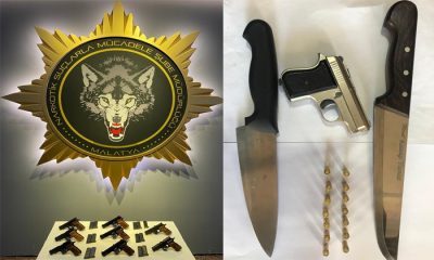 Malatya’da Çok Sayıda Tabanca ,Tüfek ve Mermi Yakalandı