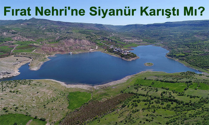 Fırat Nehri’ne Siyanür Karıştı Mı?