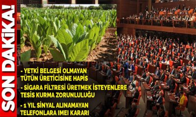 Yetki Belgesi Olmayan Tütün Üreticisine 2 Yıldan 5 Yıla Kadar Hapis Cezası