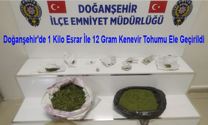 Doğanşehir’de 1 Kilo Esrar İle 12 Gram Kenevir Tohumu Ele Geçirildi. 1 Kişi Gözaltına Alındı