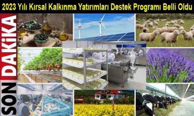 Kırsal Kalkınma Yatırımları Destek Programı 2022-2023 Başvuru Tebliği Yayınlandı