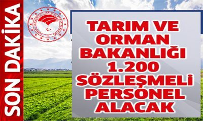 Tarım ve Orman Bakanlığı 1.200 Sözleşmeli Personel Alacak