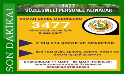 Orman Genel Müdürlüğü 3477 Sözleşmeli Personel Alımı Yapacak