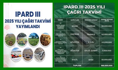 TKDK, 2025’de Çıkılacak Hibe Desteğine İlişkin Takvimi Açıkladı