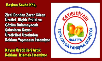 Sevda Kök, Eline Bir Kayısı Dalı Alan Reklama Koşuyor. Üreticiler Reklam İzlemek İstemiyor