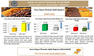 Malatya Turgut Özal Üniversitesi Kuru Kayısı Dış Ticaret Raporu Yayımlandı