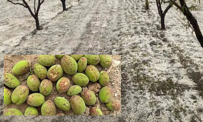 Malatya’lı Üreticilere Dolu Zararı ve Korunma Yolları Konusunda Uyarıda Bulunuldu