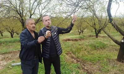 Başkan Salih Karademir, Bahçelerde Zararın Büyük Kayısı Üreticileri Desteklenmeli