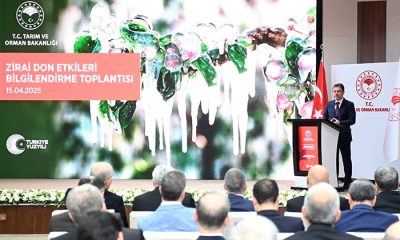 Zirai Don Sigortası Olmayan Üreticilerin Harcadıklarını Hasarı Oranında Karşılayacağız