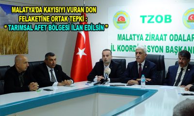 Kayısı’da Sadece Zarar 200 Milyar TL. Ayrıca 550 Bin Kişi Gelir Kaybına Uğrayacak