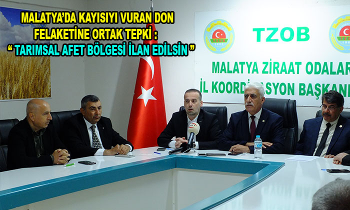 Kayısı’da Sadece Zarar 200 Milyar TL. Ayrıca 550 Bin Kişi Gelir Kaybına Uğrayacak