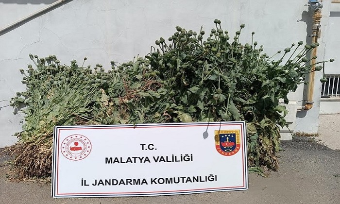 Battalgazi, Yeşilyurt, Akçadağ, Doğanşehir ve Darende’de Uyuşturucu Operasyonu