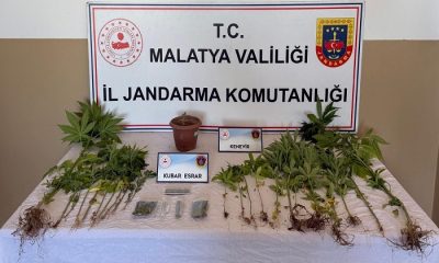 Battalgazi ve Yeşilyurt’ta Jandarma Uyuşturucu Operasyonu Düzenledi