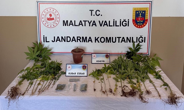 Battalgazi ve Yeşilyurt’ta Jandarma Uyuşturucu Operasyonu Düzenledi