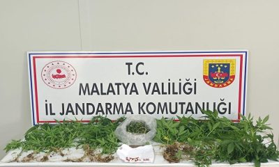 Malatya’da Narkotik Suçlarla Mücadele Kesintisiz Devam Ediyor.