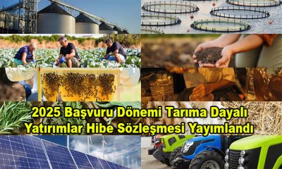 Kırsal Kalkınma 2025 Başvuru Dönemi Tarıma Dayalı Yatırımlar Hibe Sözleşmesi Yayımlandı
