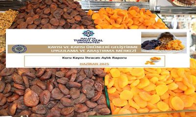 Malatya Turgut Özal Üniversitesi Haziran Ayı Kuru Kayısı Dış Ticaret Raporunu Yayımlandı