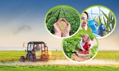 Rekabet Kurumu, Zirai İlaç ve Tohumculukta Faaliyet Gösteren 15 Teşebbüse Soruşturma Açtı