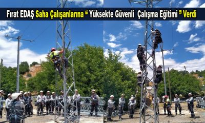 Fırat EDAŞ Saha Çalışanlarına “Yüksekte Güvenli Çalışma Eğitimi”Verdi