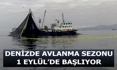 15 Nisan’da Başlayan 4,5 Aylık Balık Avı Yasağı    1 Eylül’de Yeniden Başlıyor