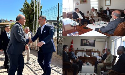 Veli Ağbaba, İnsanım Diyen Herkesin Filistin ve Gazze Halkının Yanında Durması Lazım   