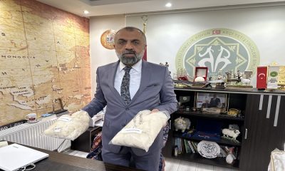 Başkan İhsan Akın, Koyun Keçi Yetiştiricileri Birliği Yünleri Yorgana Dönüştürdü