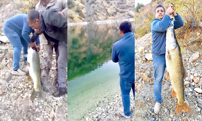 Amatör Balıkçılar Doğanyol  Konurtay’da Barajdan 33 Kiloya Yakın Balık Yakaladı