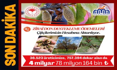 Zirai Dondan Zarar Gören Malatya’lı Çiftçilere Destek Ödemeleri Başladı