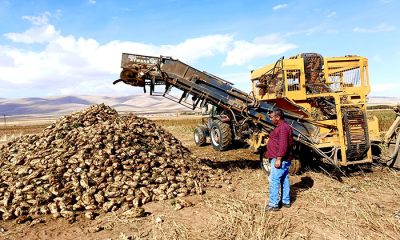 Darende’de Çiftçiler İsyanda, Artan Mazot, Gübre ve Sulama Giderleri Emeğimizi Kurtarmıyor