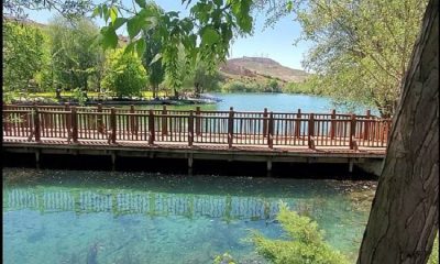 Orduzu Pınarbaşı’nda 42 Yaşındaki Kadın Gölete Atlayarak Canına Kıydı